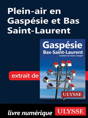 cover image of Plein-air en Gaspésie et Bas Saint-Laurent